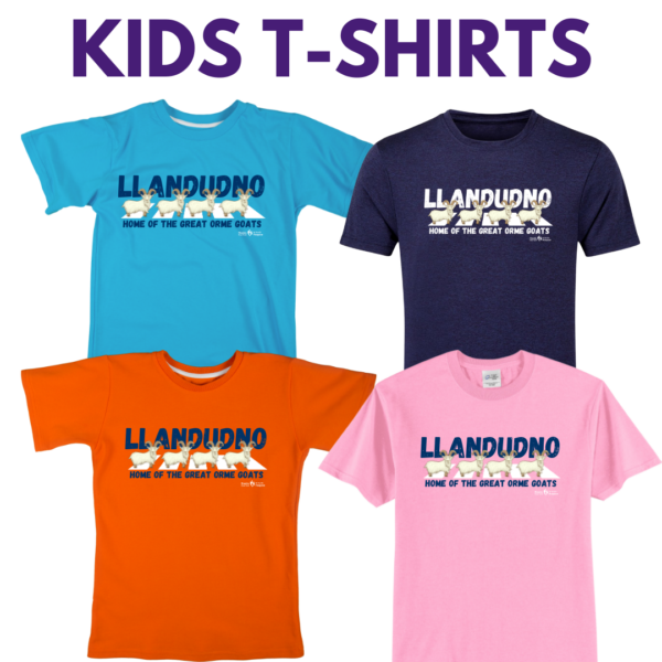 Llandudno Goat Great Orme T-Shirt / Kids