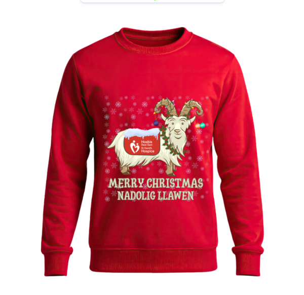 Adults Christmas Jumper