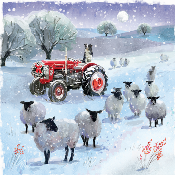 On The Farm 2025